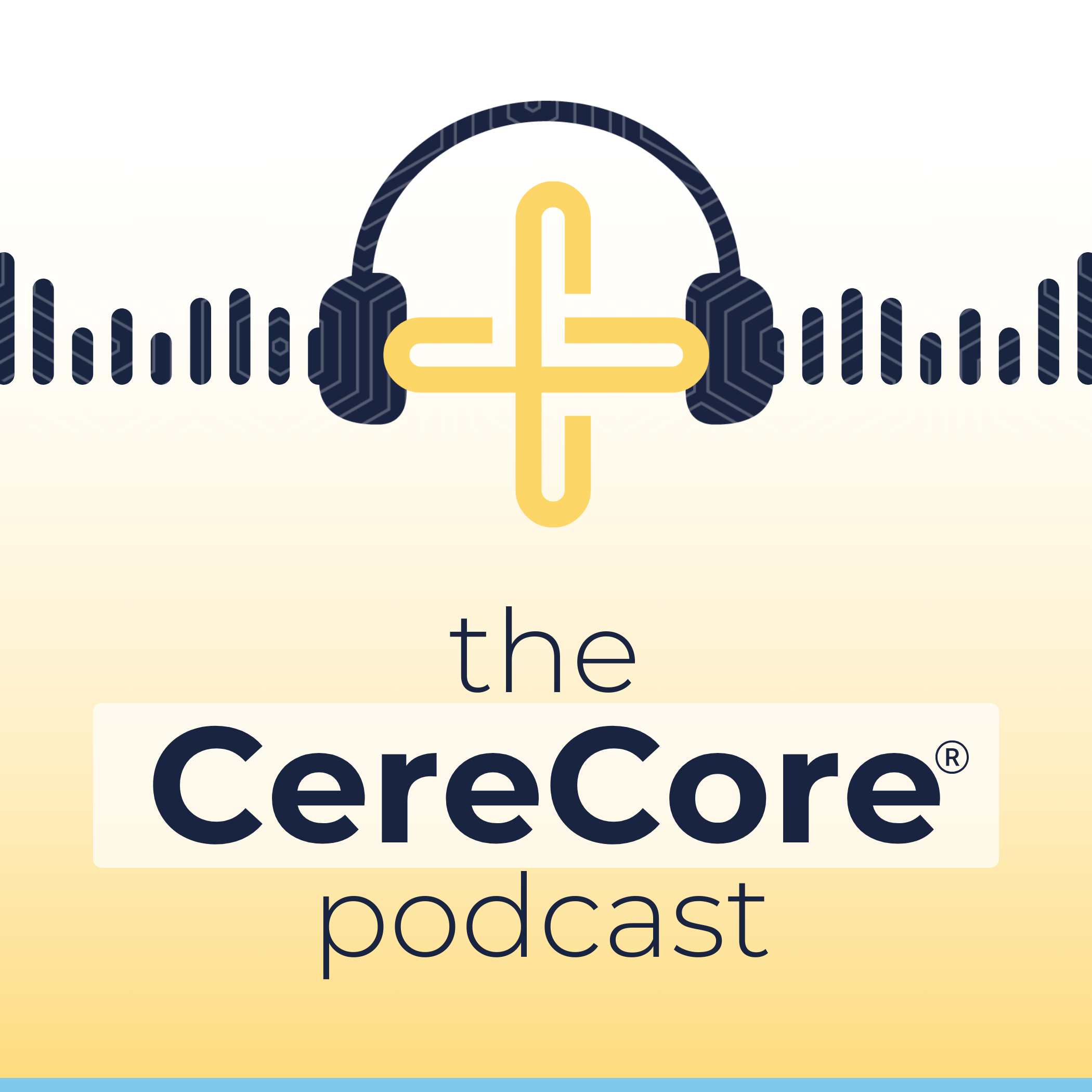 Happy Doctors and Technology: A CMIO and Practicing Physician's POV